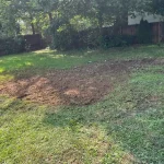 Freshly covered large hole, filled with dirt, in a residential backyard.